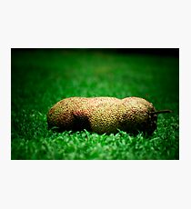 Ripe Photographic Print