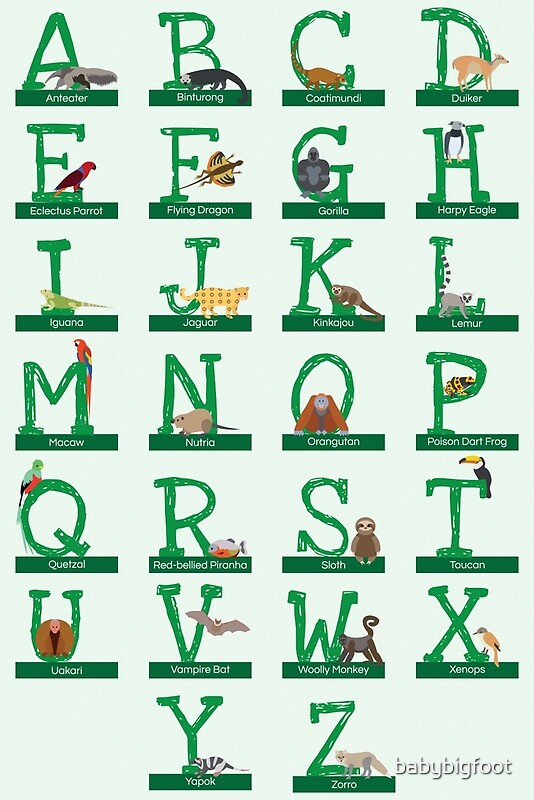 "Rainforest Animals Alphabet" by babybigfoot | Redbubble