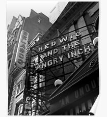 Hedwig on Broadway Poster
