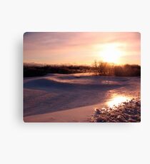 Icy Landscape Canvas Print