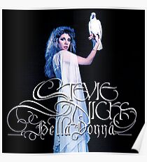 STEVIE NICKS WITH BIRD Poster