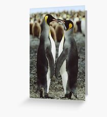 Penguin Love Greeting Card