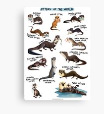 Otters of the World Canvas Print