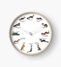 Reloj Nutrias del mundo