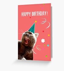 Tarjeta de felicitación Cumpleaños Cat