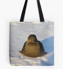 Skua Bird Tote Bag