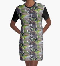 Sweet Kitty... Graphic T-Shirt Dress