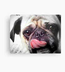 Pugsley Leinwanddruck