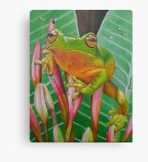 Tropical Frog Canvas Print