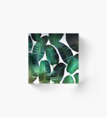 Cosmic Banana Leaves #redbubble #lifestyle Acrylic Block