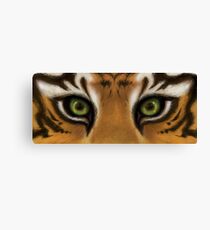 A Tiger's Eyes Canvas Print