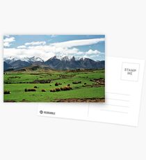 New Zealand Mountains Postcards