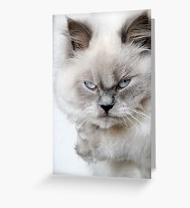 Not Happy Greeting Card