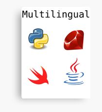 Multilingual Programmers Canvas Print