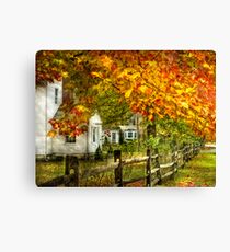 Country road side Canvas Print