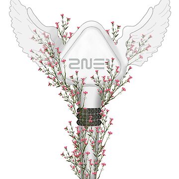 2NE1 Lightstick kpop 