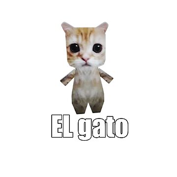whats behind el gato｜TikTok Search
