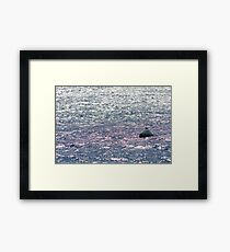 Sea Framed Print