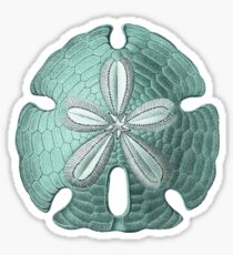 Antique Sea Sand Dollar Illustration Sticker