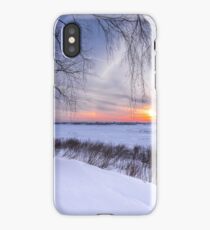 Birch trees and setting sun on the edge of a winter forest iPhone Case/Skin