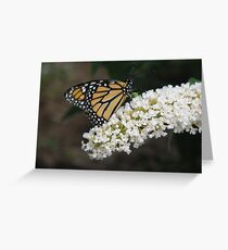 Wormy Greeting Card
