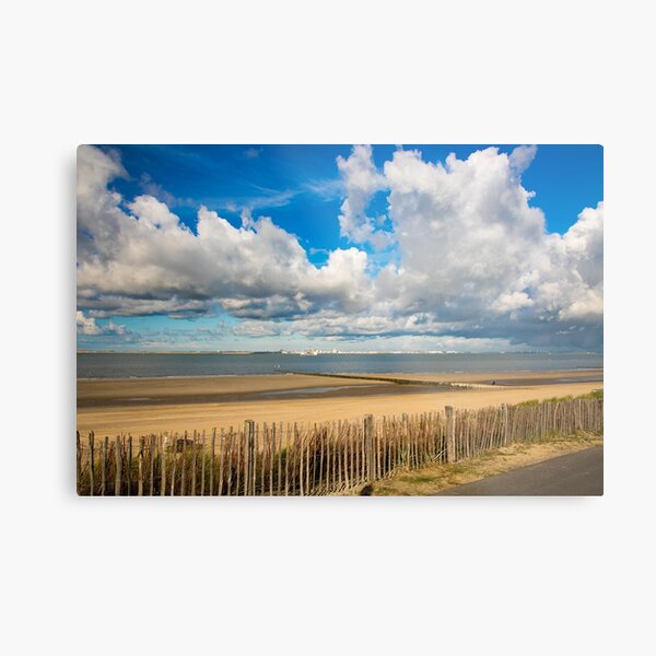 View on the Westerschelde Metal Print