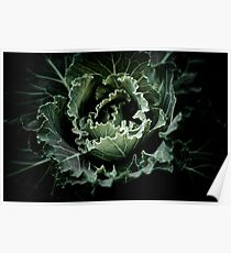 Green heart Poster