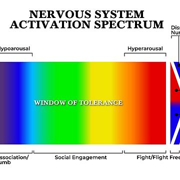 Artwork thumbnail, Nervous System Activation Spectrum by lightsomatic