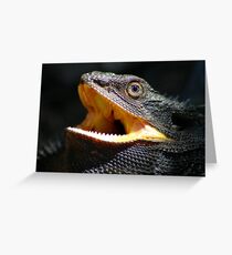 Eastern Bearded Dragon Greeting Card