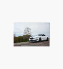 Ford Mustang Shelby GT350 Art Board