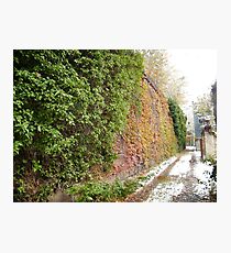 November Sixth Street Embankment, Abandoned Pennsylvania Railroad Embankment , Jersey City, New Jersey Photographic Print