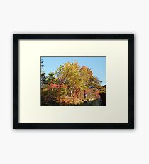 Sixth Street Embankment, Abandoned Pennsylvania Railroad Embankment , Jersey City, New Jersey Framed Print