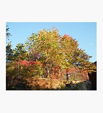 Sixth Street Embankment, Abandoned Pennsylvania Railroad Embankment , Jersey City, New Jersey Photographic Print