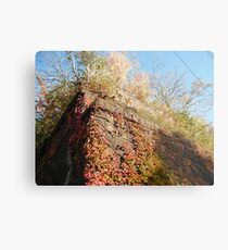 Sixth Street Embankment, Abandoned Pennsylvania Railroad Embankment , Jersey City, New Jersey Metal Print
