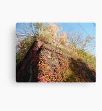 Sixth Street Embankment, Abandoned Pennsylvania Railroad Embankment , Jersey City, New Jersey Canvas Print