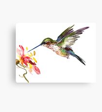 Flying Hummingbird and Flower Canvas Print