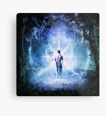 The Journey Begins, 2013 Metal Print