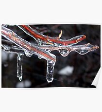 Winter Jewels Poster