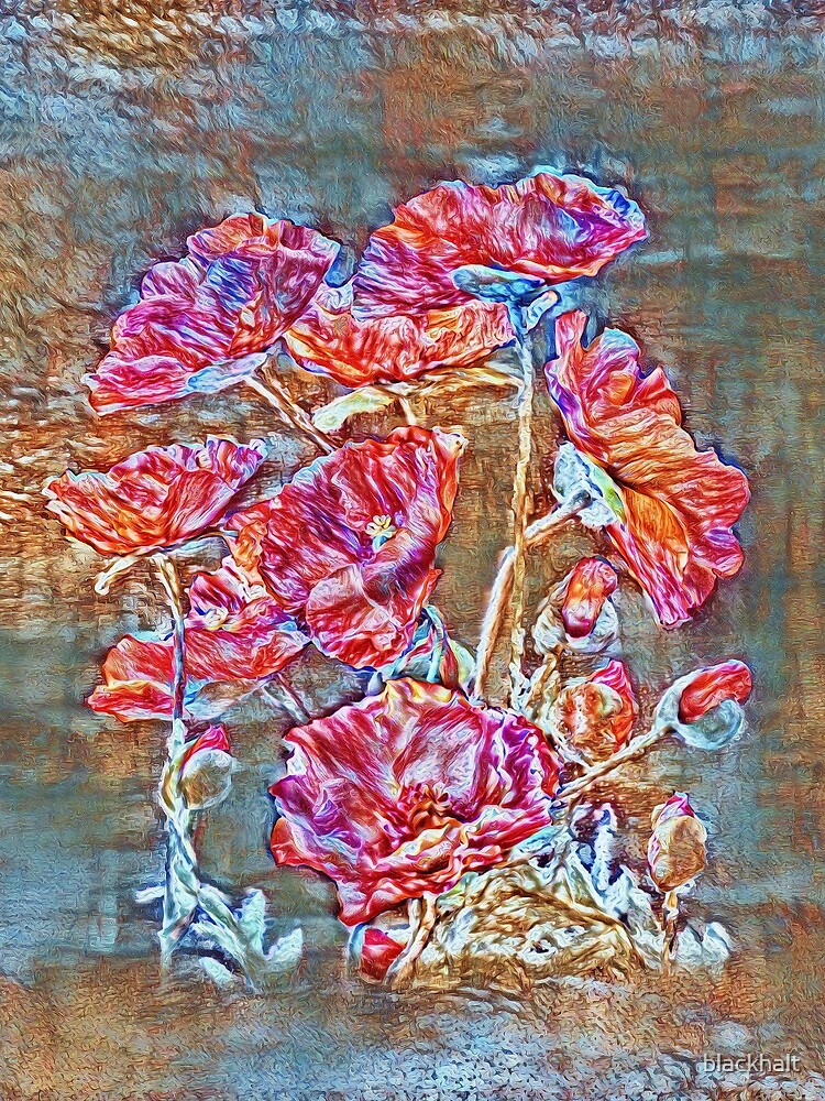 Poppies by blackhalt