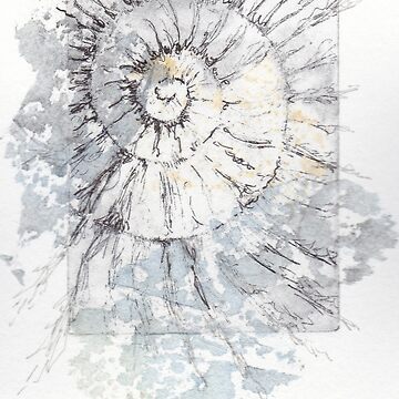 Artwork thumbnail, Ammonite no.63 - 100 ammonites project by LisaLeQuelenec