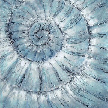 Artwork thumbnail, Ammonite no.90 - 100 ammonites project by LisaLeQuelenec