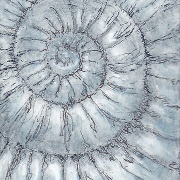 Artwork thumbnail, Ammonite no.89 - 100ammonites project by LisaLeQuelenec