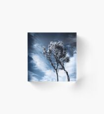 dramatic landscape with trees Acrylic Block