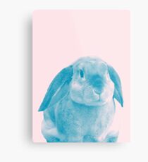 Rabbit 04 Metalldruck