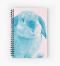 Rabbit 04 Spiralblock
