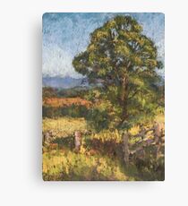 Beechwood - plein air Canvas Print