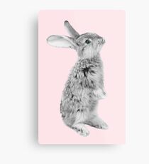 Rabbit 08 Metalldruck