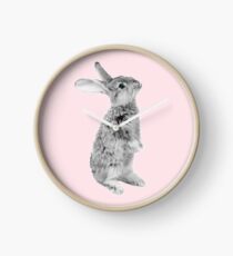 Rabbit 08 Uhr