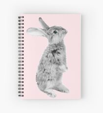 Rabbit 08 Spiralblock