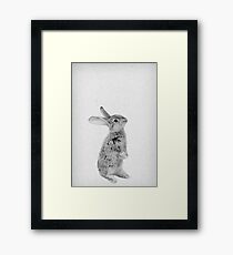 Rabbit 11 Gerahmtes Wandbild